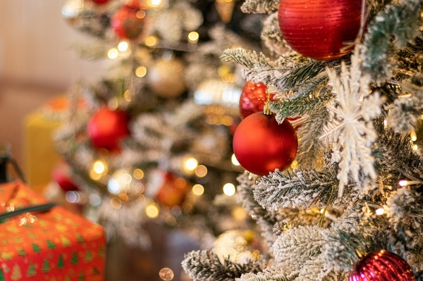 칼호텔이 2019 크리스마스를 기념해 다양한 이벤트를 펼친다